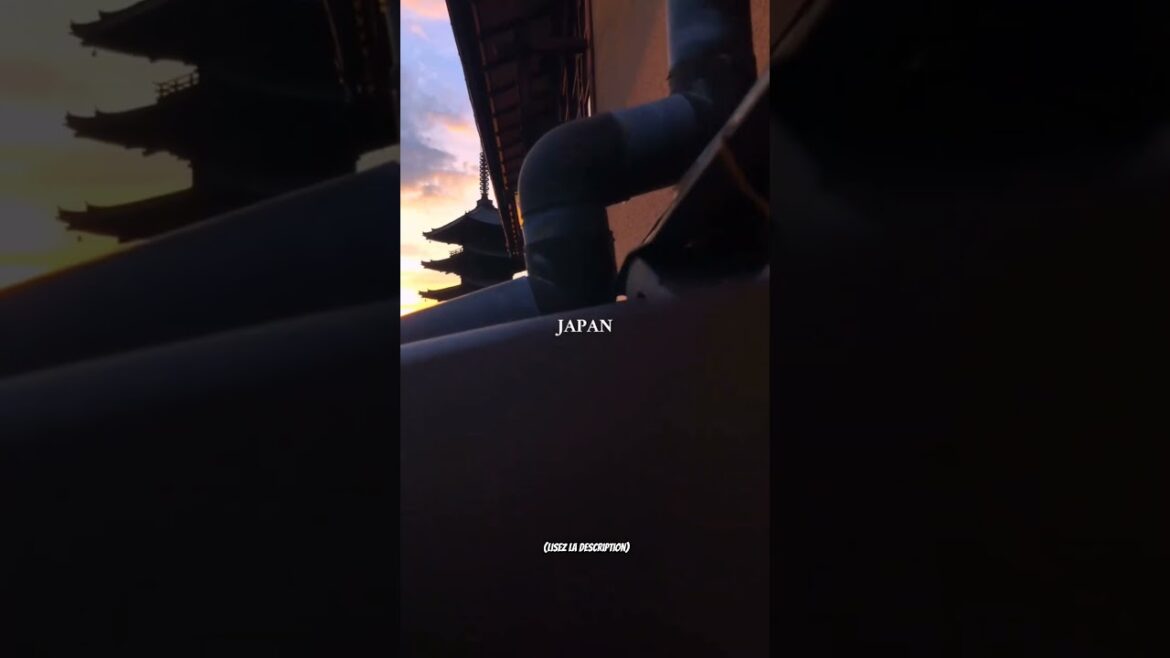 Un pays beaucoup trop...#travel #shorts #shortsvideo