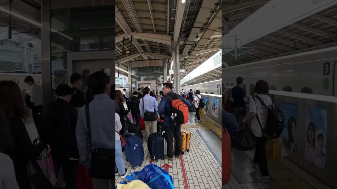 【TOKYO】Everyday Common Scene - Tokyo Station