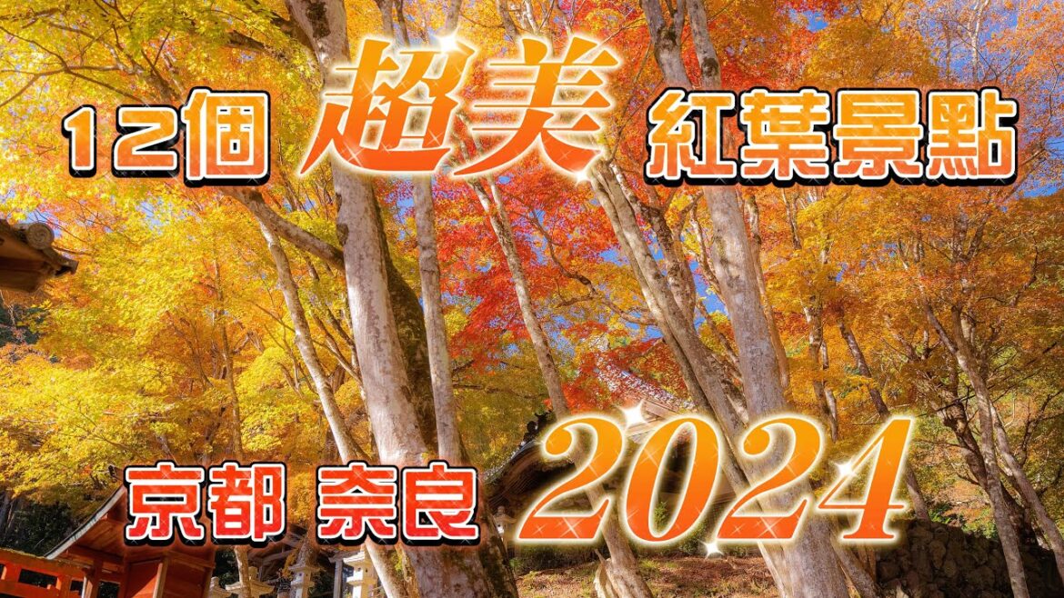 【超美！人少又安靜！2024年日本關西紅葉景點分享】關西旅行不能錯過的12個紅葉景點｜靜謐的寺院與紅葉｜日本觀光客很少的紅葉景點