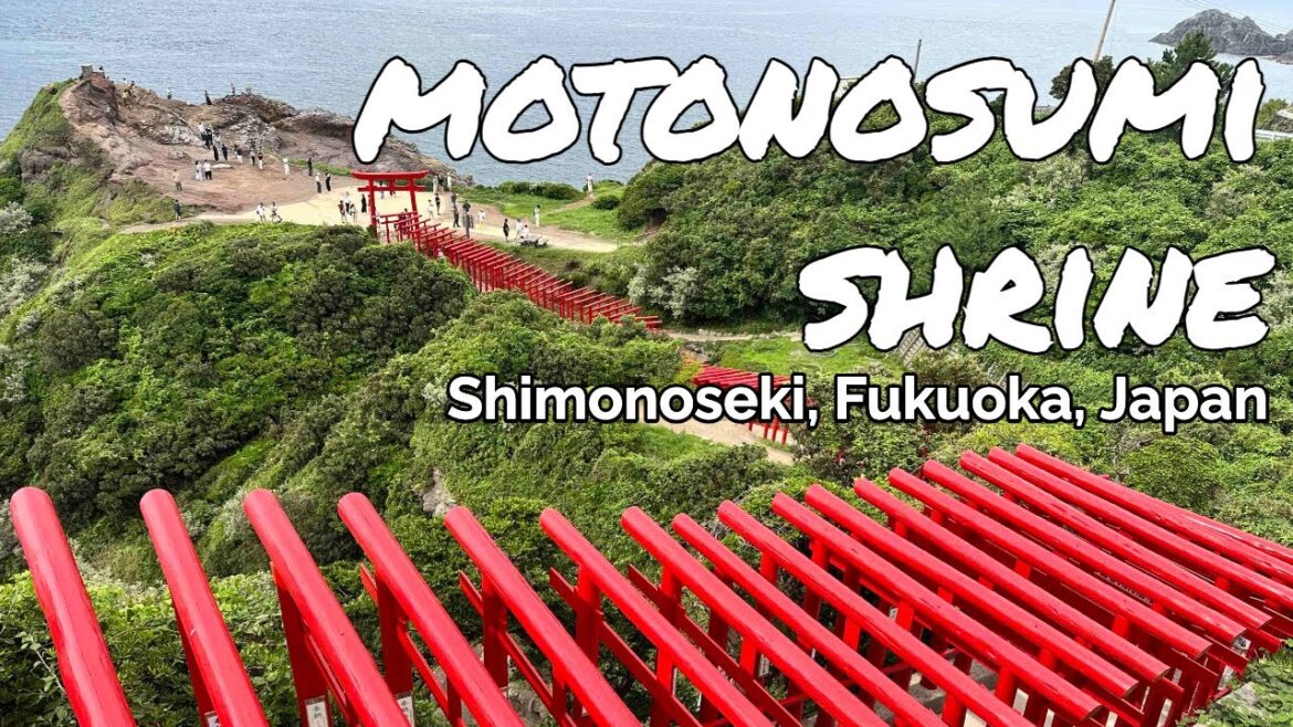 MOTONOSUMI SHRINE #motonosumiShrine #shimonoseki #japan #TaraAnythingGoes MOTONOSUMI SHRINE #motonosumiShrine #shimonoseki #japan #TaraAnythingGoes