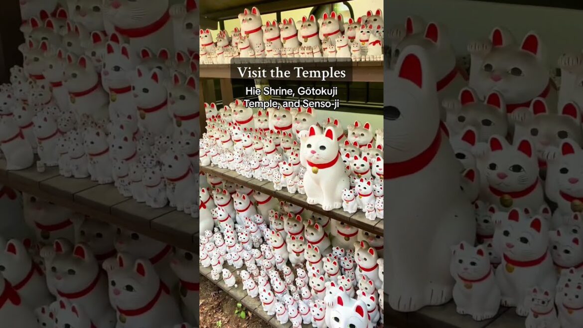 Must Things To Do in Tokyo #travel #tokyo