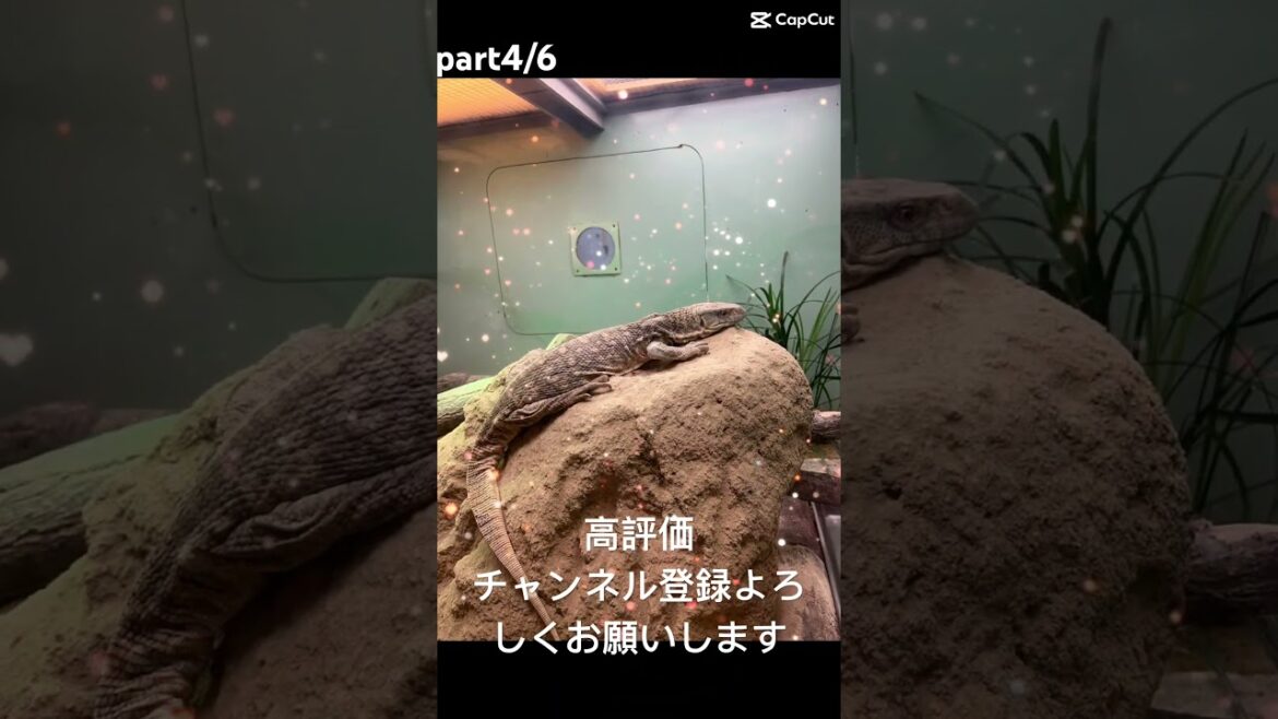 #地球娯楽 #名古屋#動物園#家族時間#travel #animals#nagoya