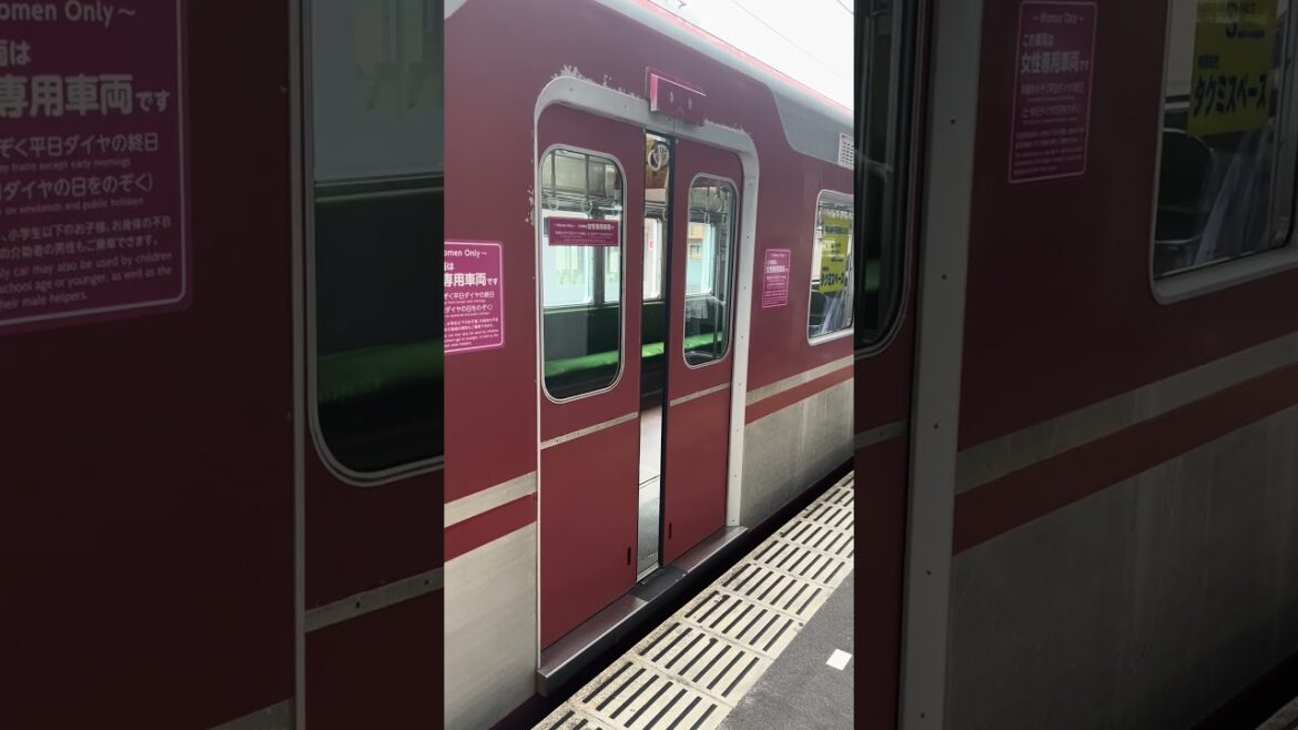 【神戸電鉄3000系】ドア開 #神戸電鉄 #train #trip #kobe