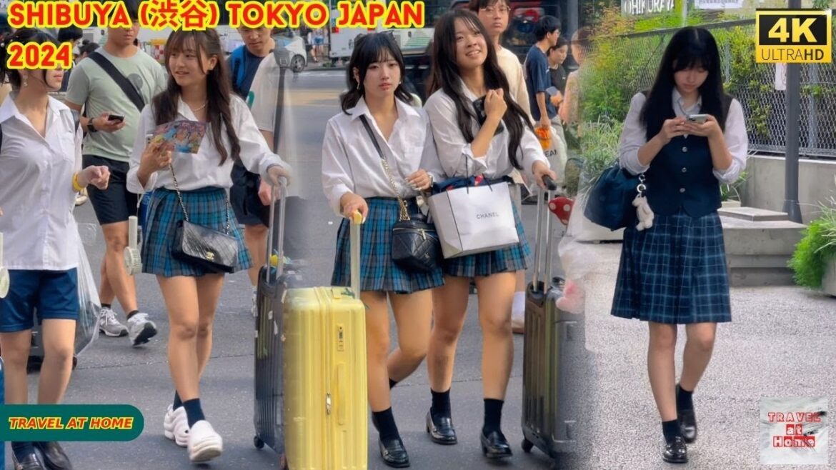 4k hdr Japan travel 2024 | Walk in Shibuya (渋谷) Tokyo Japan |  Relaxing Natural City ambience