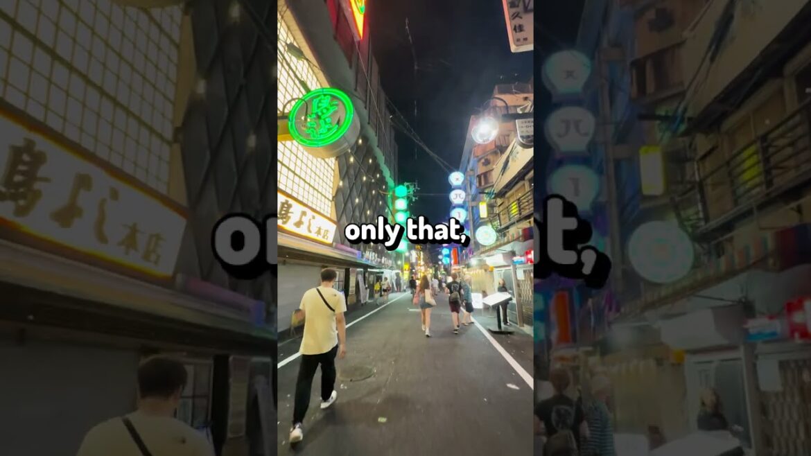 japanese trains are UNREAL