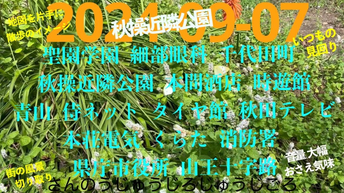 2024-09-07さんのうじゅうじろじゅうじごろ