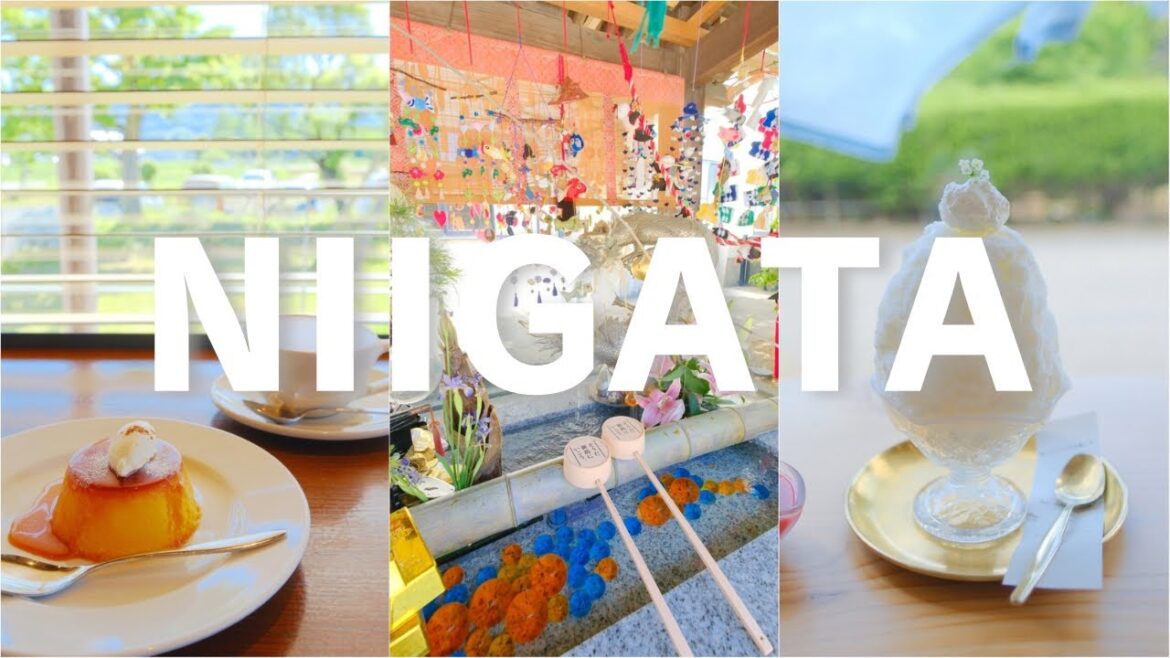 新潟2泊3日ひとり旅vlog - 観光スポット・カフェ巡り・グルメ・ホテル