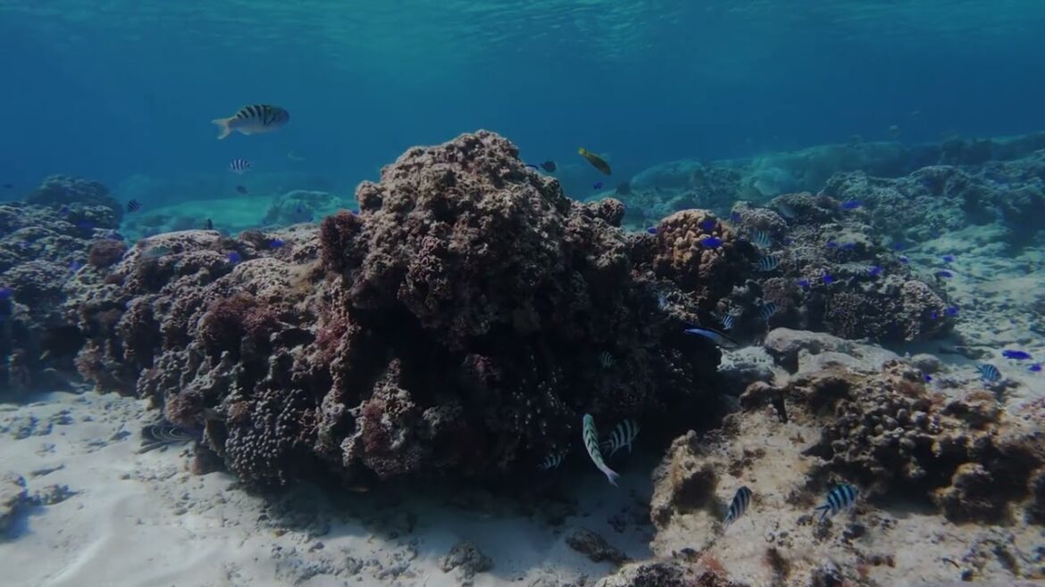 Amazing location in Okinawa | Trip Ebook