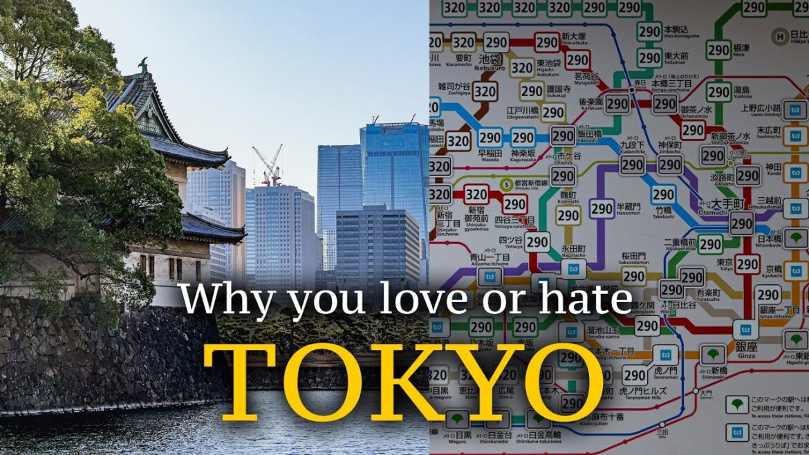 🇯🇵 18 Pros and Cons of travel TOKYO, Japan