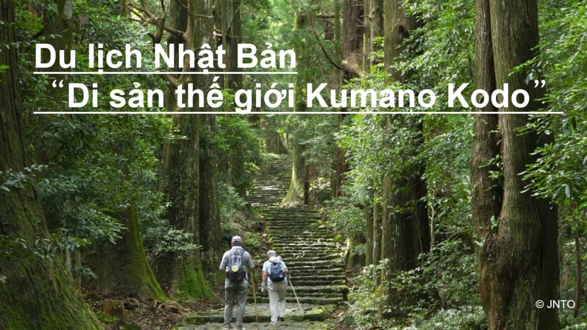 Thư viện video “Di sản thế giới Kumano Kodo” Du lịch Nhật Bản　　#unesco
