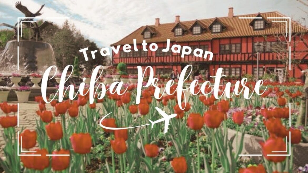 Top 20 Must-Visit Destinations in Chiba, Japan for 2024 ๐๐ฏ๐ต! โจ Top 20 Must-Visit Destinations in Chiba, Japan for 2024 ๐๐ฏ๐ต! โจ