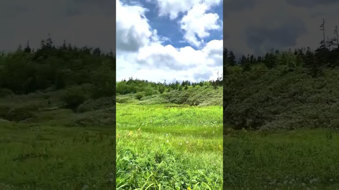 【JAPAN】Nice & Picturesque View – Kamikochi 【JAPAN】Nice & Picturesque View - Kamikochi