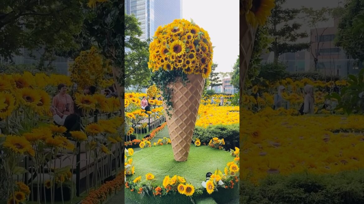 Himawari Sky Garden 2024