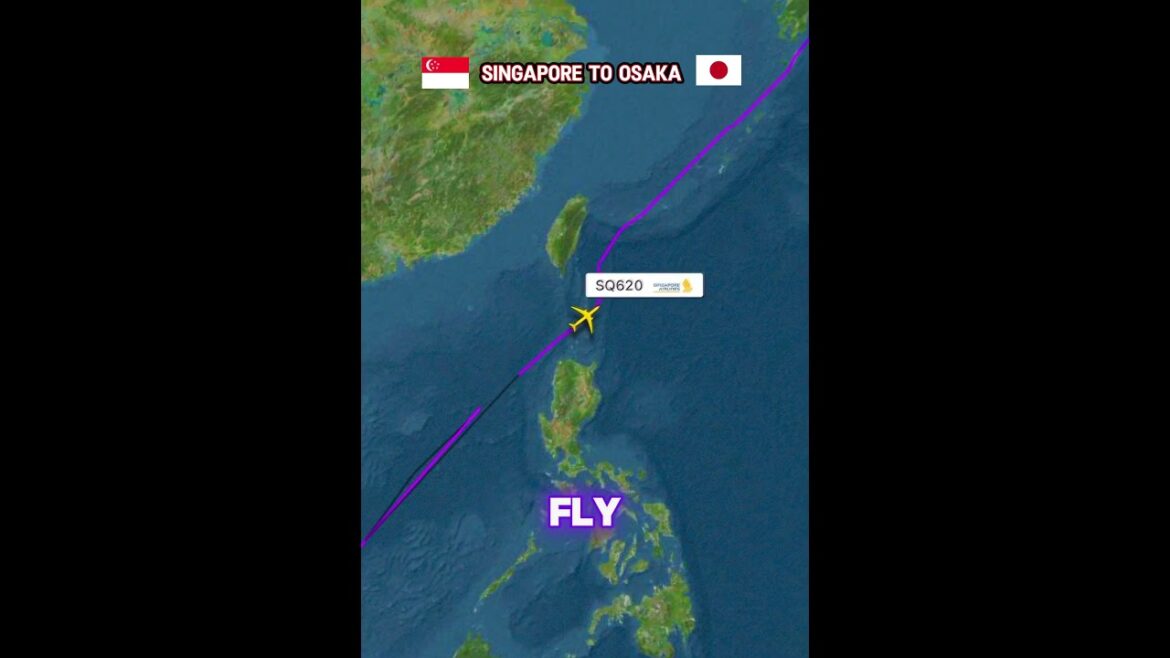 SINGAPORE to OSAKA Flying Route – Singapore Air Lines SQ620 #shorts #travel #aviation #journey SINGAPORE to OSAKA Flying Route - Singapore Air Lines SQ620 #shorts #travel #aviation #journey