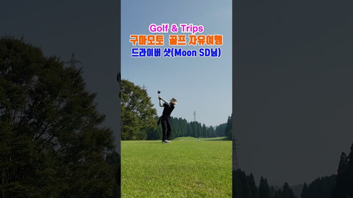 일본 골프 자유여행 | Moon SD님! 드라이버 샷 모음!!! #shortsfeed #golf #shorts  #일본골프  #골프여행 #구마모토 #아소산