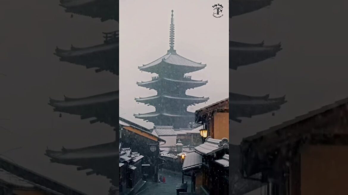 Pov : You Just Arrived in Kyoto,Japan 🇯🇵 ⛩️ #kyoto #shorts Pov : You Just Arrived in Kyoto,Japan 🇯🇵 ⛩️ #kyoto #shorts
