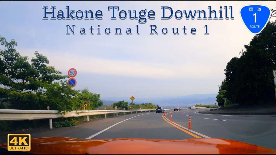 [4K] Driving Downhill to the City