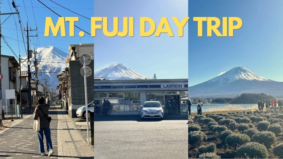 a Day Trip to Mt. Fuji from Tokyo