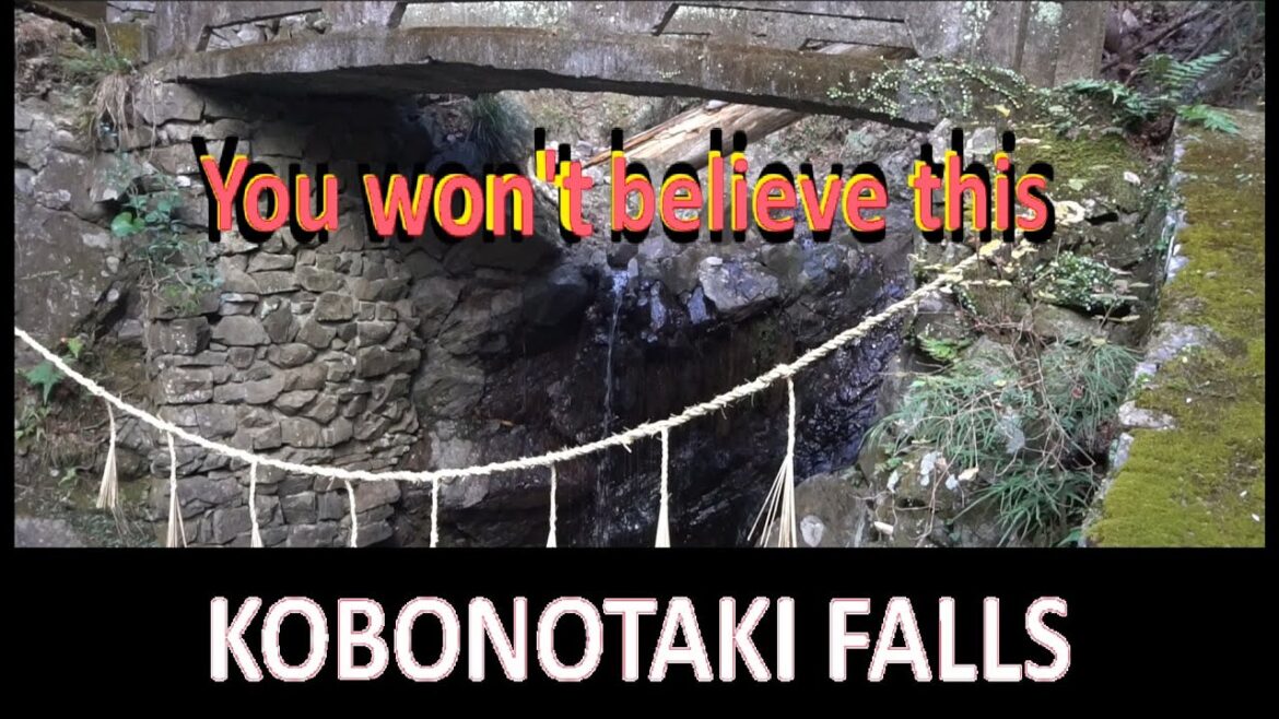 Hidden Shrine in the Valley Hidden Shrine in the Valley