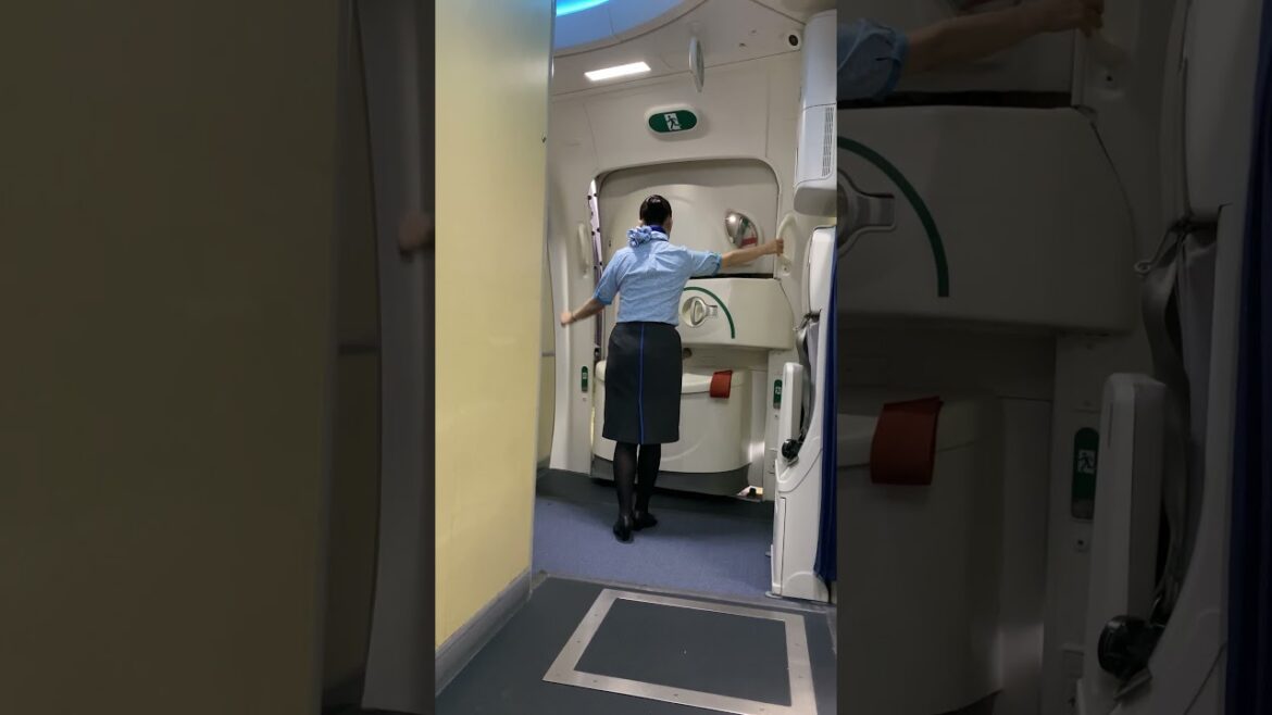 ANA CAチーフ 炎のドアオープン ANA CAチーフ 炎のドアオープン