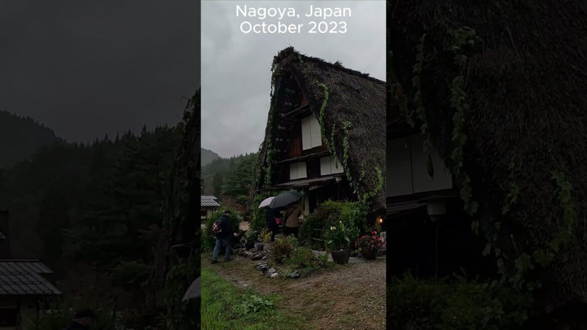 Nagoya, Japan (October 2023)