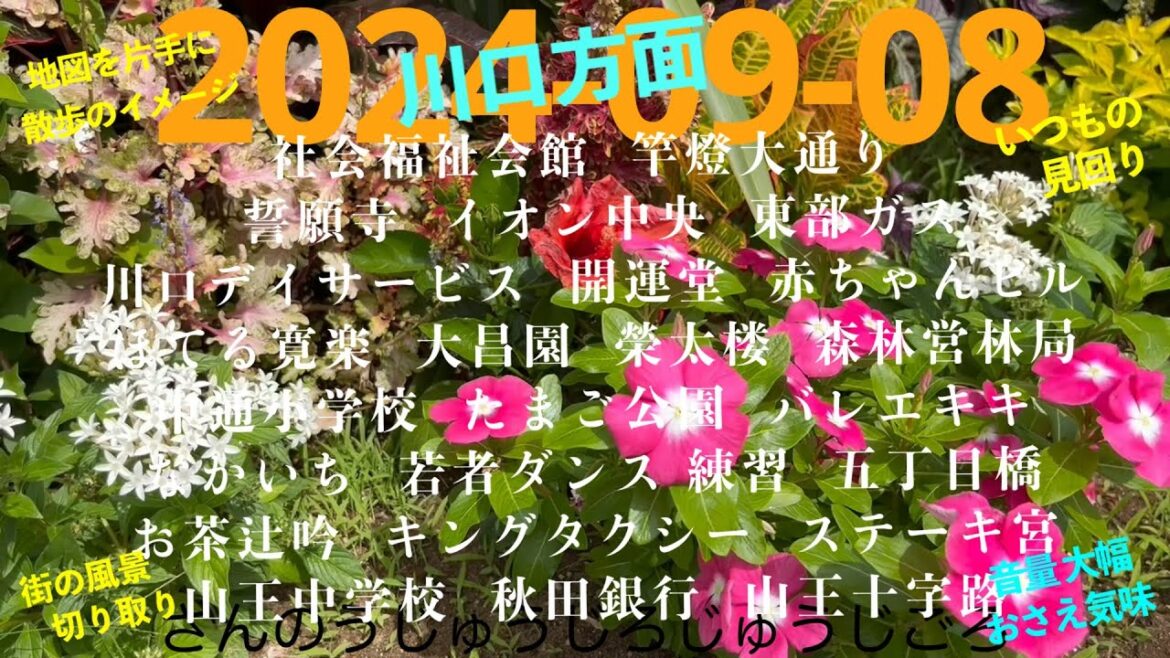 2024-09-08さんのうじゅうじろじゅうじごろ