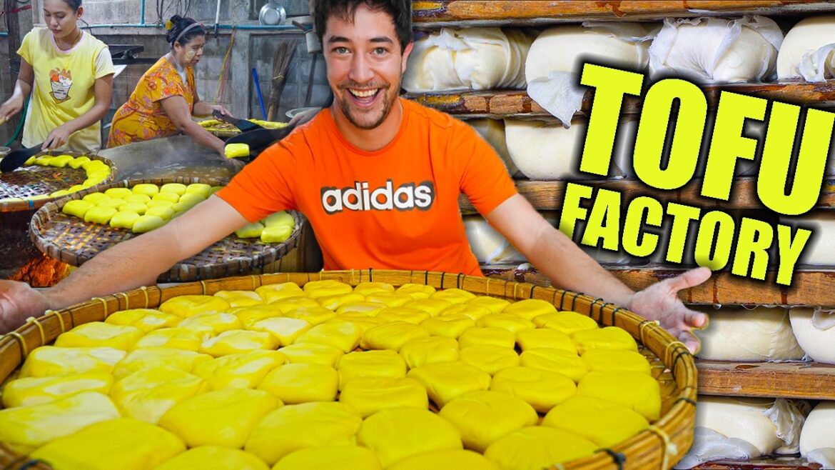 Thailand’s 100 Year Old Tofu Shop 🇹🇭 Thai STREET FOOD Paradise Better Than Bangkok!? Thailand's 100 Year Old Tofu Shop 🇹🇭 Thai STREET FOOD Paradise Better Than Bangkok!?
