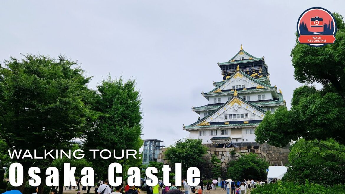 Rainy Day Walk at Osaka Castle | Cicadas & Relaxing Ambience #osaka  #rainwalk  #asmr