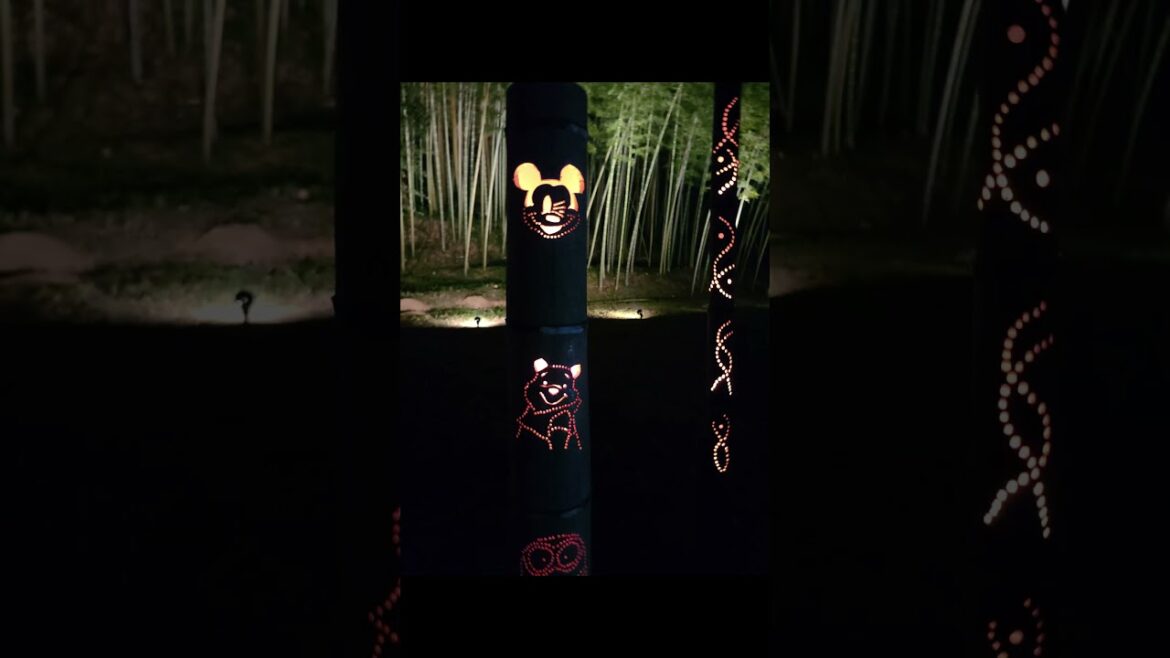 【鹿児島の温泉と旅案内】鹿児島県湧水町　#鹿児島の温泉と旅案内　#鹿児島YouTube商店街  #鹿児島の風景と出来事