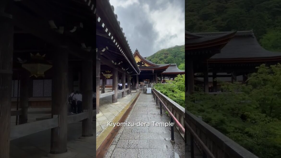 #kiyomizu #kiyomizudera #kiyomizuderatemple #kyoto #japan #tourism #travel