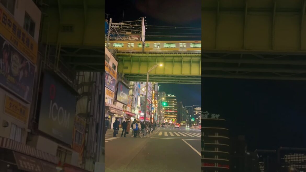 Akihabara #shorts#viral#videos#Japan Akihabara #shorts#viral#videos#Japan