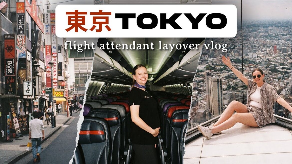 24 Hours In TOKYO JAPAN π―π΅ International Cabin Crew Layover 24 Hours In TOKYO JAPAN π―π΅ International Cabin Crew Layover