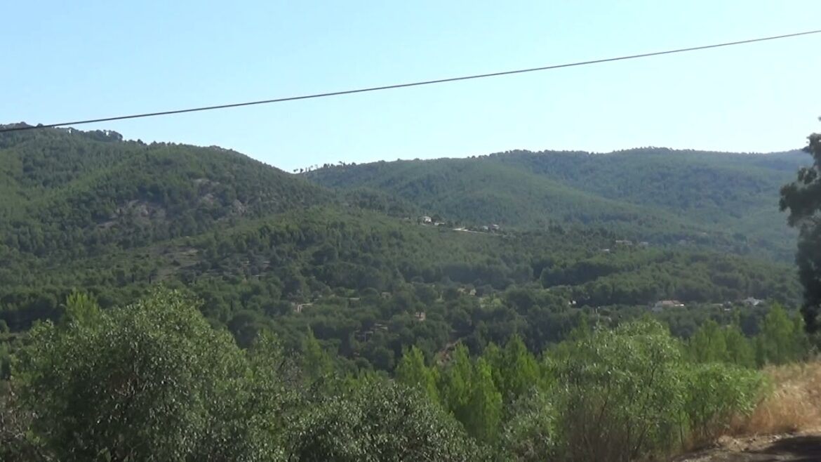 Vue magnifique des collines boisées du sud de la France, avec le champ des cigales Vue magnifique des collines boisées du sud de la France, avec le champ des cigales