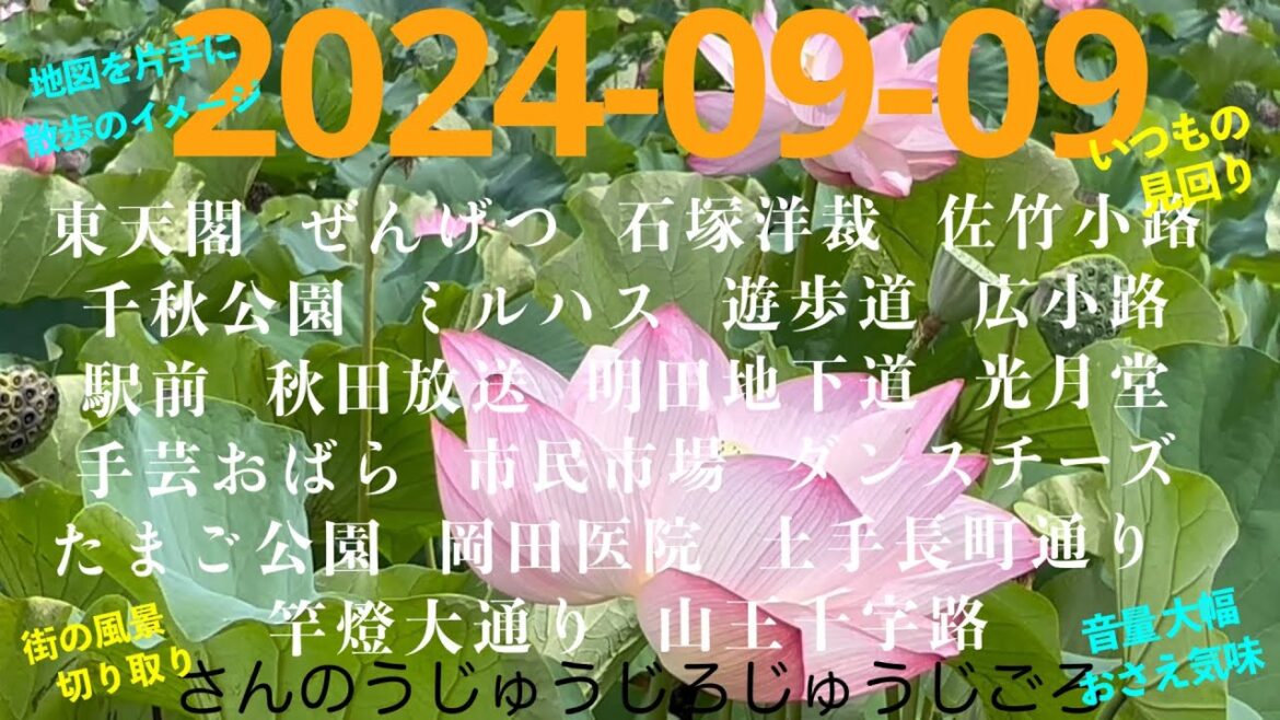 2024-09-09さんのうじゅうじろじゅうじごろ