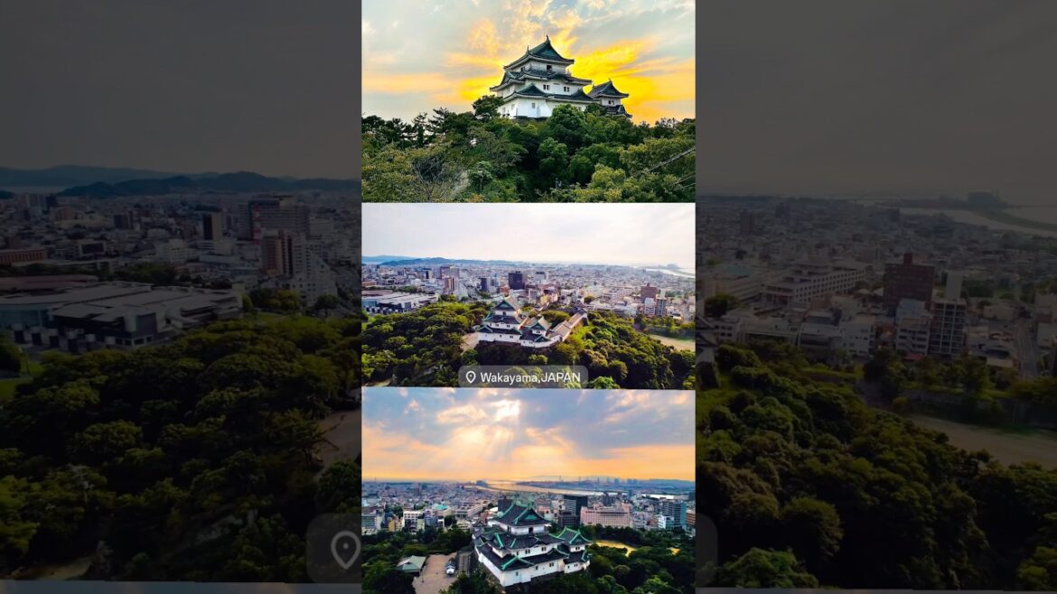 日本旅遊|100名城|和歌山縣 Wakayama|和歌山城 Wakayama Castle |百大名城|Travelling in Japan|日本環島旅行 日本旅遊|100名城|和歌山縣 Wakayama|和歌山城 Wakayama Castle |百大名城|Travelling in Japan|日本環島旅行