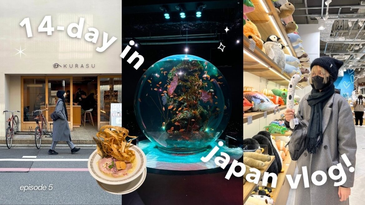 14-day in Japan EP5🇯🇵🐠Art Aquarium in Kobe, Kyoto temples & café hopping, best tonkatsu & ramen