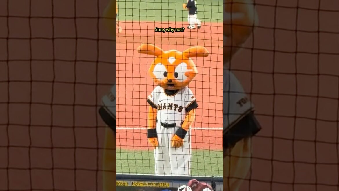 Did you really think Japan WOULDN'T have Baseball-Themed food??