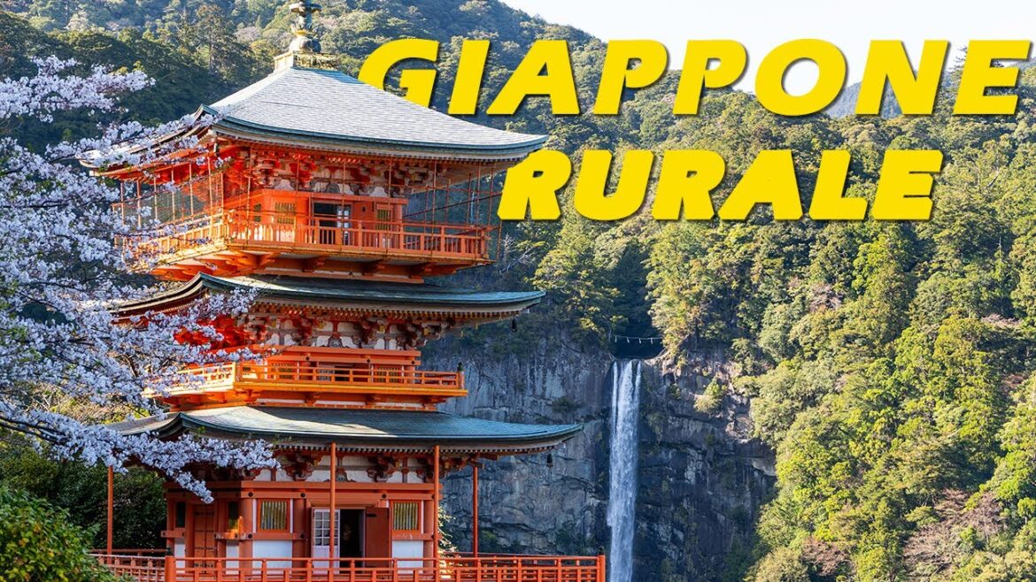 Esploro la Prefettura di Wakayama 🇯🇵 Cascata di Nachi