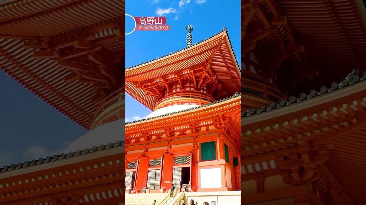 [高野山]  空海が開創した「高野山」#高野山 #koyasan #wakayama