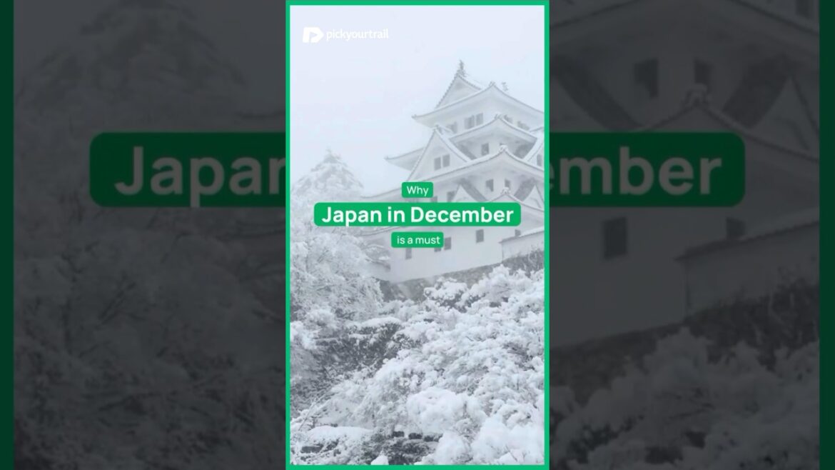 🚨 Can’t Miss Travel Advice! 🤫📢 Plan Your Trip | Explore Japan🇯🇵 | PickYourTrail 💚 #shorts