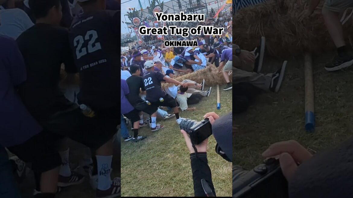 Jaw-Dropping Tug of War Showdown in Yonabaru, Okinawa!