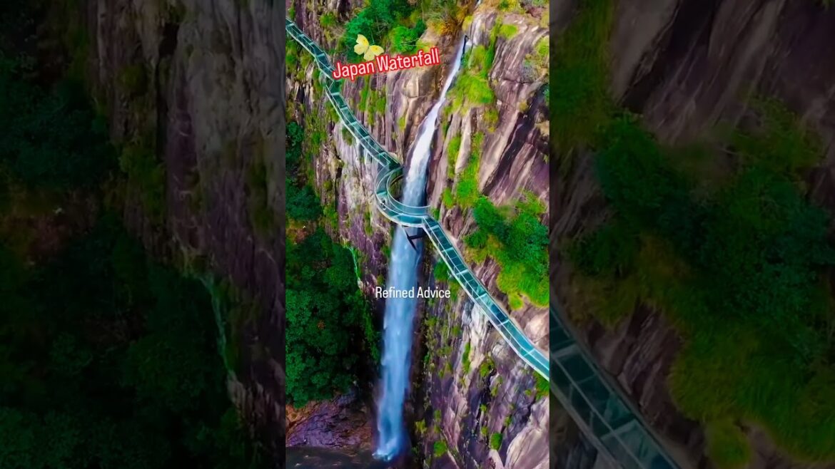 Japan Waterfall 🌊 #shorts #trending #viral #viralshorts #youtubeshorts #explore #japan #waterfall Japan Waterfall 🌊 #shorts #trending #viral #viralshorts #youtubeshorts #explore #japan #waterfall