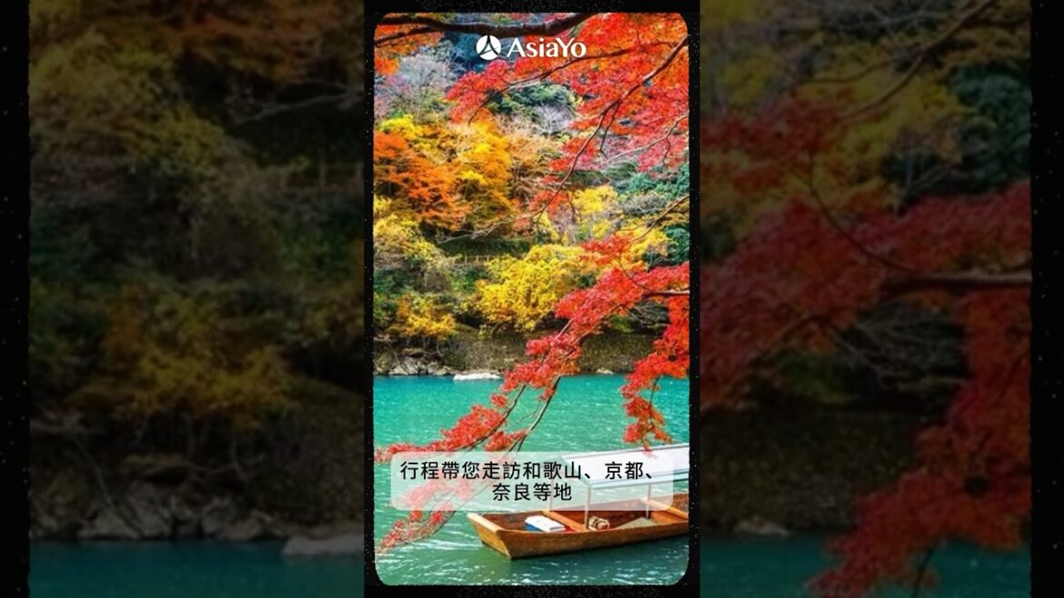 出發關西賞楓跟團🍁走訪和歌山天守閣 嗨玩環球影城#訂跟團旅遊上AsiaYo#跟團#日本跟團#關西跟團