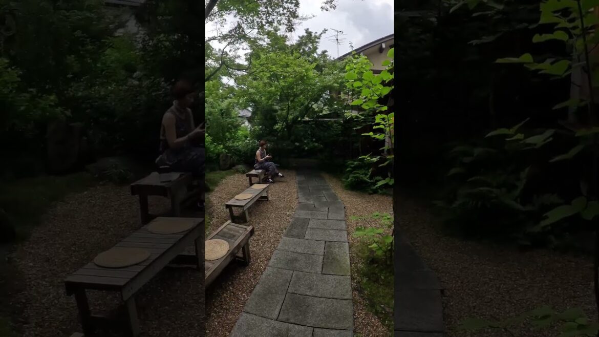 【KYOTO】Must-See (Relatively Unknown) Tourist Attractions- Nashinoki Shrine