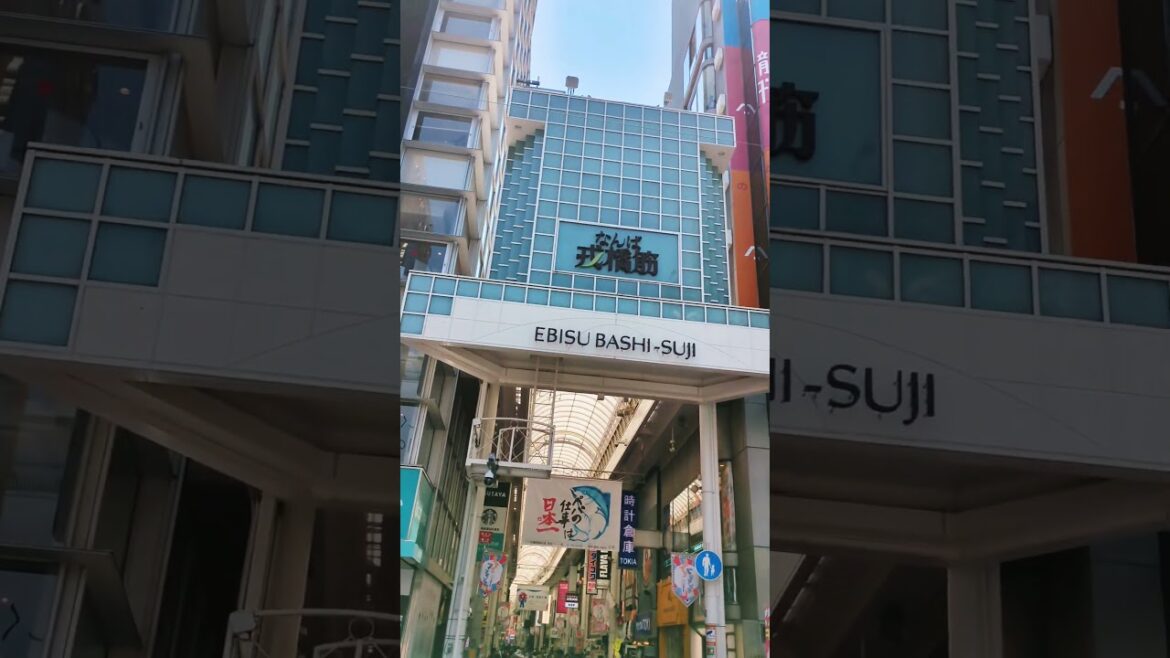Ebisubashisuji shopping street#osaka #japanshorts #osakashorts #travelshorts #travel #ebisubashisuji Ebisubashisuji shopping street#osaka #japanshorts #osakashorts #travelshorts #travel #ebisubashisuji