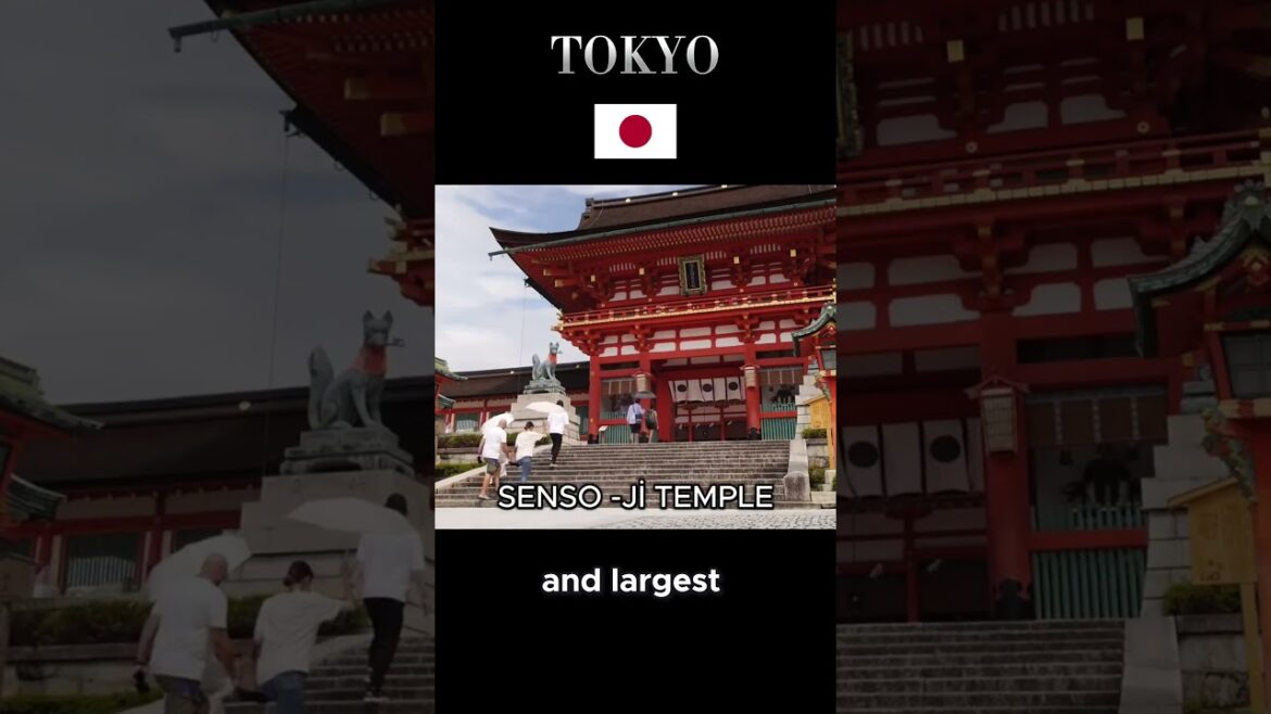 Tokyo  - Japan / Amazing City #travel #top #toptravel#tokyo #japan #youtubeshorts #shorts