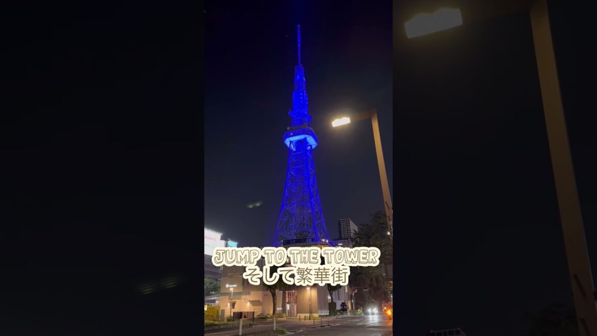 【Aichi/愛知】Night walk/夜の散歩