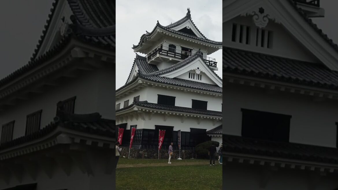 Exploring the historical castle #traveljapan #chiba #castle