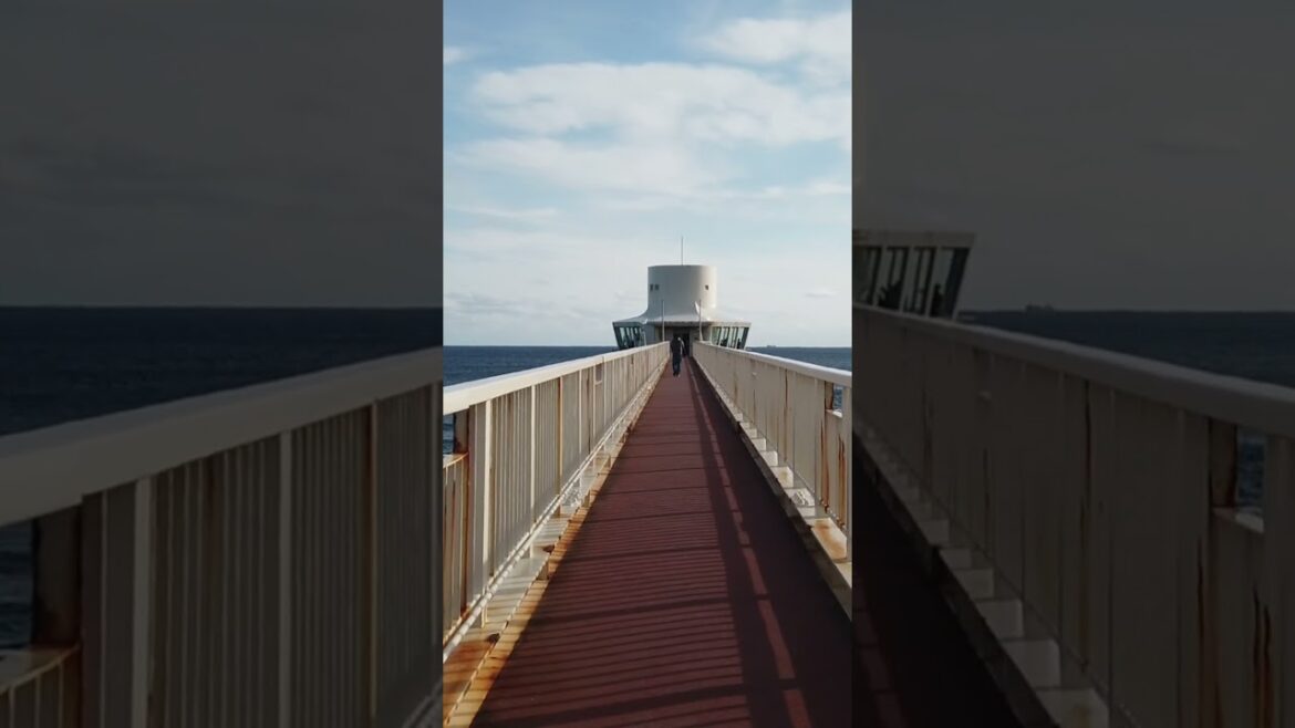 Observation Tower under the sea  #traveljapan #chiba #oceanlife
