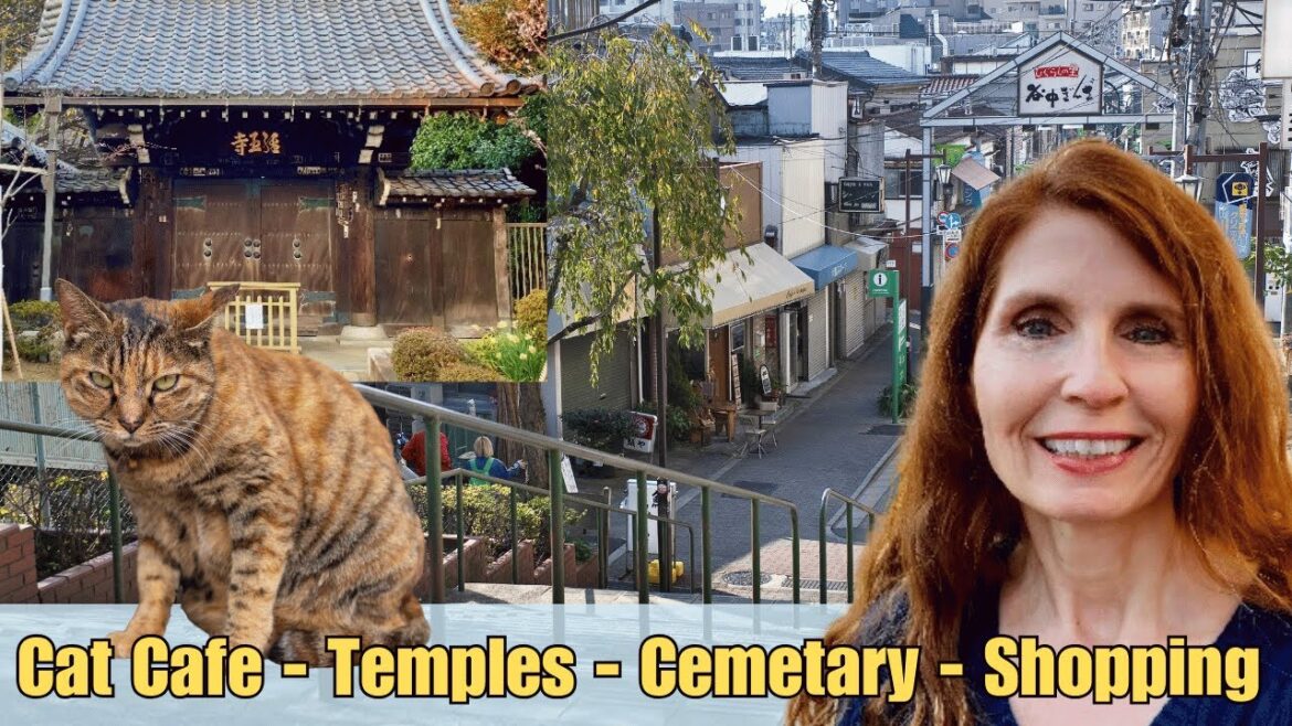 Tokyo Japan Hidden Gem-